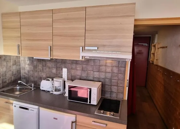 Résidence Zenith - Confort De 26m² Au Pied Des Pistes Mae-3264 Apartamento *